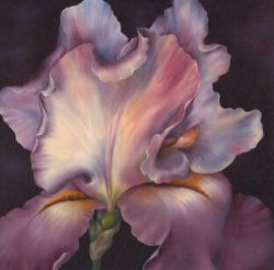 Iris Floaters E Tutorial