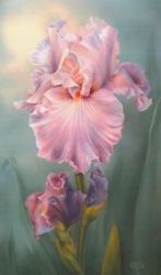 April Iris - Pond Lily E Tutorial