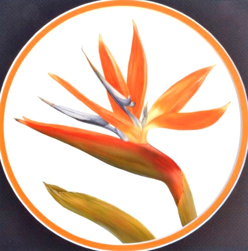 Bird of Paradise E Tutorial