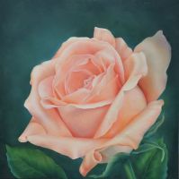 Robyn's Rose E-Tutorial