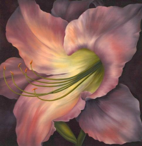 Lily Floaters E Tutorial