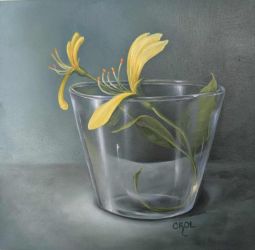 Glass Study Online Video